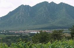 se admiten mascotas perros en Hotel Lur Gorri Irache*** Ayegui Navarra 2