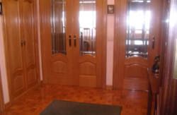 se admiten mascotas perros en Alojamientos Olga Pamplona Navarra 2