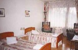 se admiten mascotas perros en Alojamientos Olga Pamplona Navarra 4