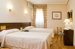 se admiten mascotas perros en Hotel Castilla Vieja*** Palencia Palencia 4