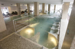 se admiten mascotas perros en Hotel Bienestar Moa&ntilde;a**** Moa&ntilde;a Pontevedra, rias-gallegas 4