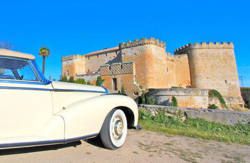 se admiten mascotas perros en Castillo del Buen Amor Villanueva de Cañedo Castilla-y-Leon, Salamanca 2
