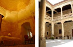 se admiten mascotas perros en Castillo del Buen Amor Villanueva de Cañedo Castilla-y-Leon, Salamanca 4