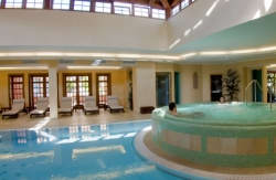 se admiten mascotas perros en Hotel Bot&aacute;nico & The Oriental Spa Garden***** Puerto de La Cruz Santa Cruz Tenerife 4