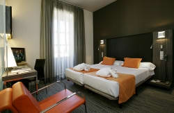 se admiten mascotas perros en Petit Palace Santa Cruz****Plus Sevilla Sevilla 4