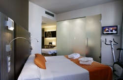 se admiten mascotas perros en Petit Palace Santa Cruz****Plus Sevilla Sevilla 5