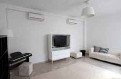 se admiten mascotas perros en Hostal Fivegates Osuna Sevilla 3
