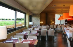 se admiten mascotas perros en Vilar Rural d'Arnes**** Arnes Tarragona 2