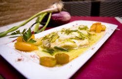 se admiten mascotas perros en Hotel Rural Casa Babel Villalonga Valencia 4