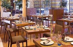 se admiten mascotas perros en Novotel Valladolid**** Valladolid Valladolid 3