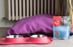 se admiten mascotas perros en High Tech Tamarises***Plus Bilbao Vizcaya 8