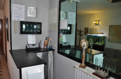 se admiten mascotas perros en Hostal Central Zaragoza Zaragoza 2