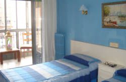 se admiten mascotas perros en Hostal Central Zaragoza Zaragoza 3
