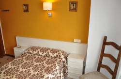 se admiten mascotas perros en Hostal Central Zaragoza Zaragoza 4