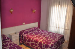 se admiten mascotas perros en Hostal Central Zaragoza Zaragoza 5