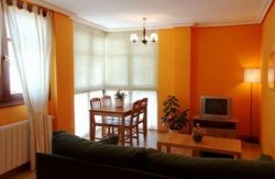 se admiten mascotas perros en Apartamentos Altuzarra Ezcaray La Rioja, recomendados, Nieve 5