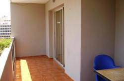 se admiten mascotas perros en Apartamentos Michel &Aacute;ngelo Benidorm Alicante, Costa-Blanca 3