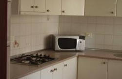 se admiten mascotas perros en Apartamentos Michel &Aacute;ngelo Benidorm Alicante, Costa-Blanca 4