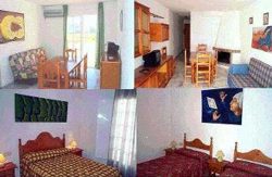 se admiten mascotas perros en Apartamentos El Gran Gonz&aacute;lez Moj&aacute;car Almer&iacute;a, costa-de-almeria 5