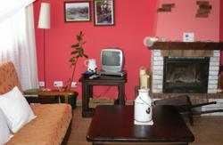 se admiten mascotas perros en Apartamentos Andrea Belmonte de Miranda Asturias 2