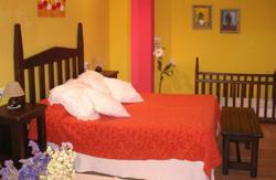 se admiten mascotas perros en Apartamentos Andrea Belmonte de Miranda Asturias 3