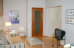 se admiten mascotas perros en Apartamentos Sant Jordi Barcelona Barcelona, costa-del-maresme 4