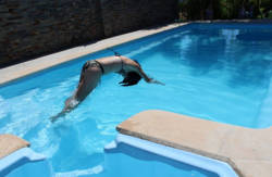 se admiten mascotas perros en Posadas de Granadilla Zarza de Granadilla C&aacute;ceres 3