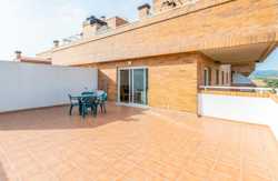 se admiten mascotas perros en Oromarina Azahar Oropesa del Mar Comunidad Valenciana, Castell&oacute;n, costa-del-azahar 7