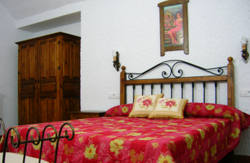 se admiten mascotas perros en  Apartamentos Cuevas Pedro Antonio de Alarc&oacute;n Guadix Granada 4