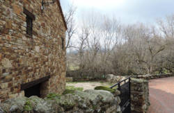 se admiten mascotas perros en El Pozo La Serna del Monte Madrid 2