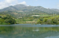 se admiten mascotas perros en Complejo Rural Caicune Casarabonela M&aacute;laga 2