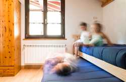 se admiten mascotas perros en Apartamento Rural Gainkoborda Etxalar Navarra 3