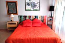 se admiten mascotas perros en Remanso de Paz R&iacute;a de Abaixo Pontevedra 2