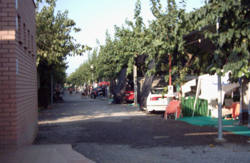 se admiten mascotas perros en Camping Los Naranjos Moncofa Castell&oacute;n 2