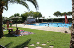 se admiten mascotas perros en Camping Carlos III La Carlota recomendados, C&oacute;rdoba 3