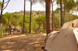 se admiten mascotas perros en Camping Neus & Tent-Lodge l'Escala Gerona, costa-brava 4