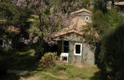se admiten mascotas perros en Bungalodge Sant Pol Sant Feliu de Guíxols Gerona, costa-brava 2