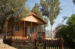 se admiten mascotas perros en  Camping Órgiva Orgiva Granada, costa-tropical 4