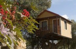 se admiten mascotas perros en  Camping Órgiva Orgiva Granada, costa-tropical 5