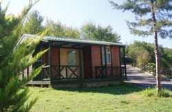 se admiten mascotas perros en  Camping Lago Barasona Graus Nieve, Huesca, Pirineos 4