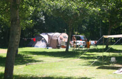 se admiten mascotas perros en Camping Laspa&uacute;les Laspa&uacute;les recomendados, Aragon, Huesca, Pirineos 3