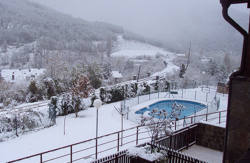 se admiten mascotas perros en Solopuent Camping Resort Castiello de Jaca Huesca, Pirineos 4