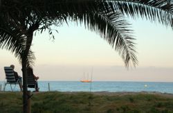 se admiten mascotas perros en Camping & Bungalow Park Els Prats Miami Platja Tarragona, Costa-dorada 5