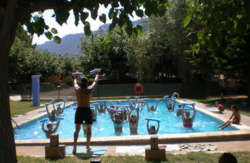 se admiten mascotas perros en  Camping Montsant Park Ulldemolins recomendados, Tarragona 3