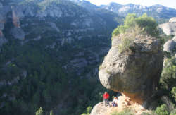 se admiten mascotas perros en  Camping Montsant Park Ulldemolins recomendados, Tarragona 7