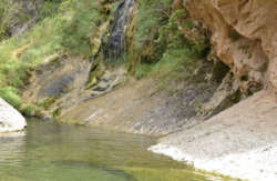 se admiten mascotas perros en  Camping Montsant Park Ulldemolins recomendados, Tarragona 8