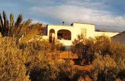 Casa Cueva Calatrava vacaciones en Tabernas con perros alojamientos Almería admiten mascotas viajar casasrurales dormir con tu perro verano