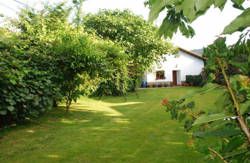 se admiten mascotas perros en Casa Carmen Rales de Llanes Asturias 4