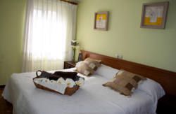 se admiten mascotas perros en Casa Suco Bimenes Asturias 5