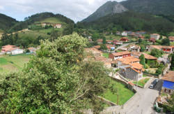 se admiten mascotas perros en Casa de Aldea El Toral Rales de Llanes Asturias 4